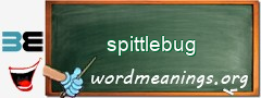 WordMeaning blackboard for spittlebug